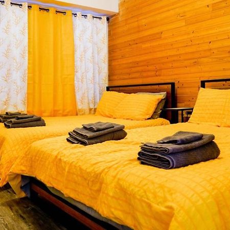 刘易斯维尔Remodeled Luxury With Proximity别墅 外观 照片